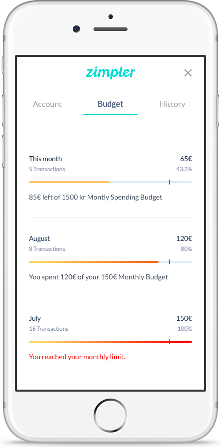 Zimpler budget screen