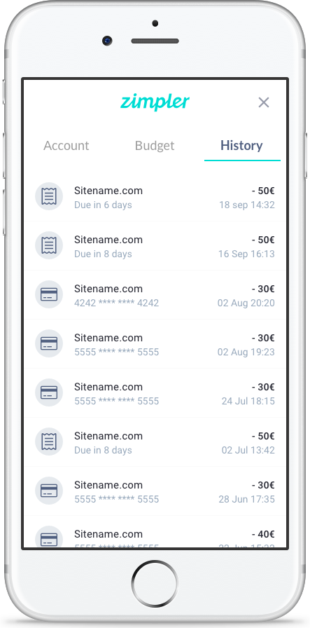 Zimpler payment history